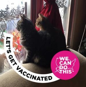 Meet your Posher, Luis alberto